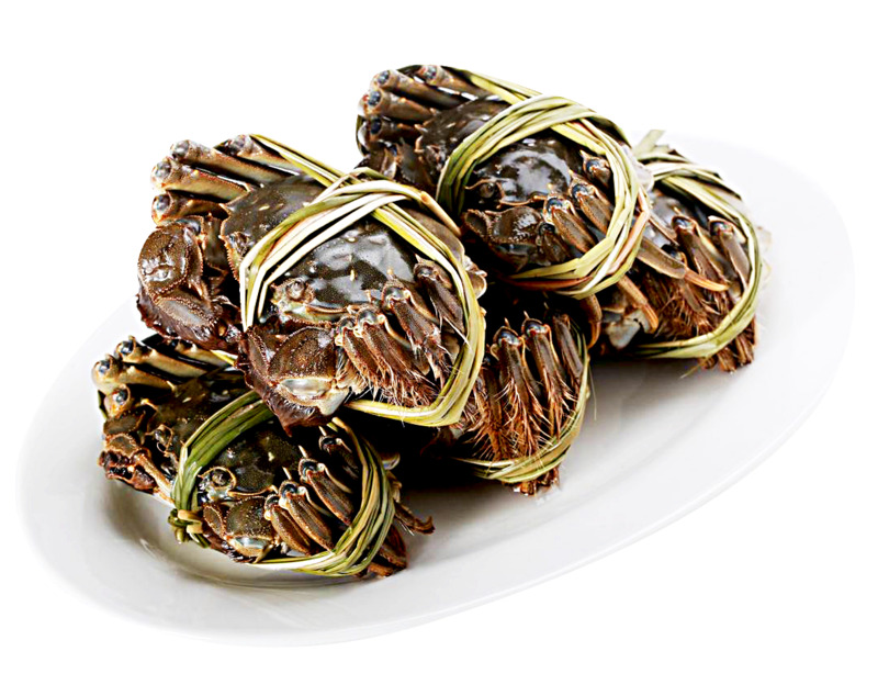 新鲜大闸蟹高清PNG透明免扣设计素材免费下载