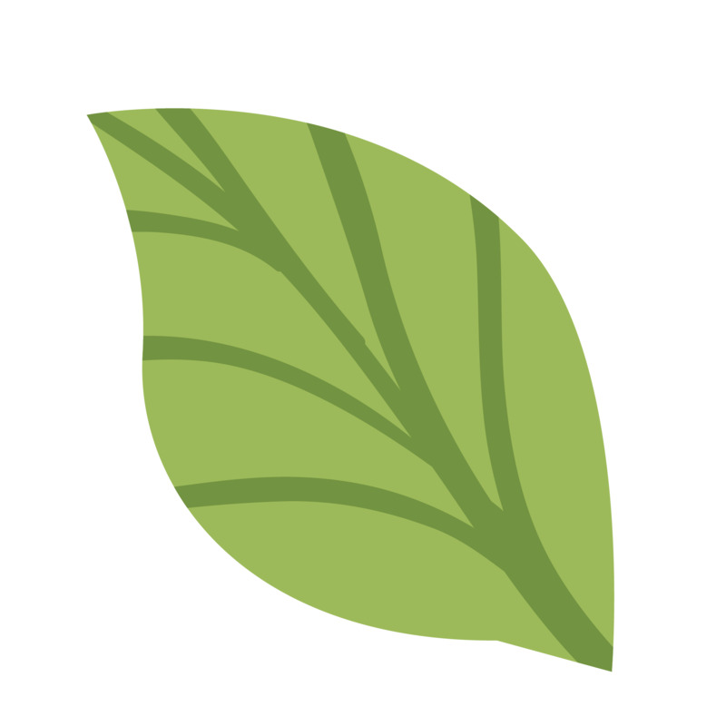 卡通简笔画绿叶高清PNG透明免抠设计素材免费下载