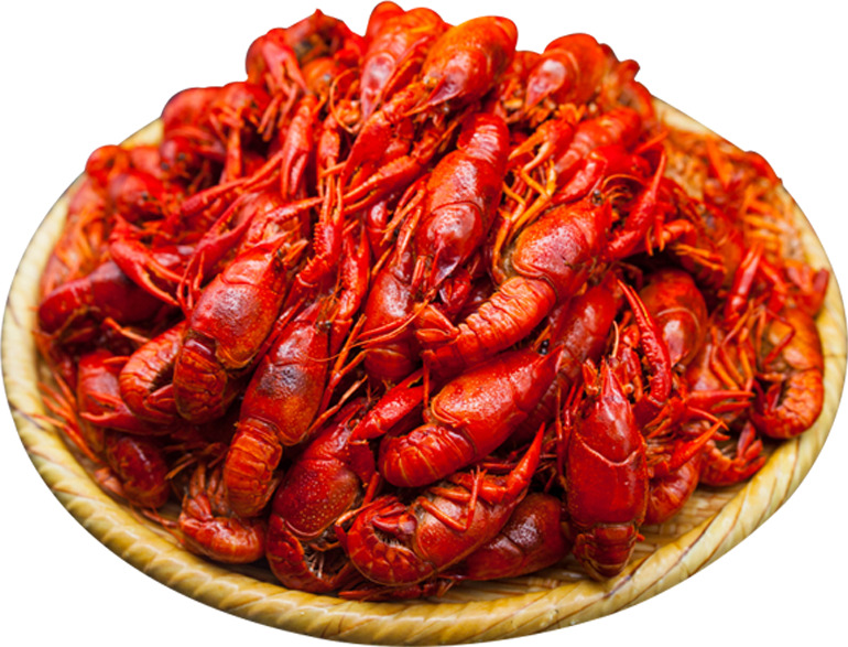 卤虾小龙虾虾高清PNG透明免扣设计素材免费下载