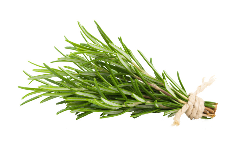 调料素材迷迭香高清PNG透明免扣设计素材免费下载