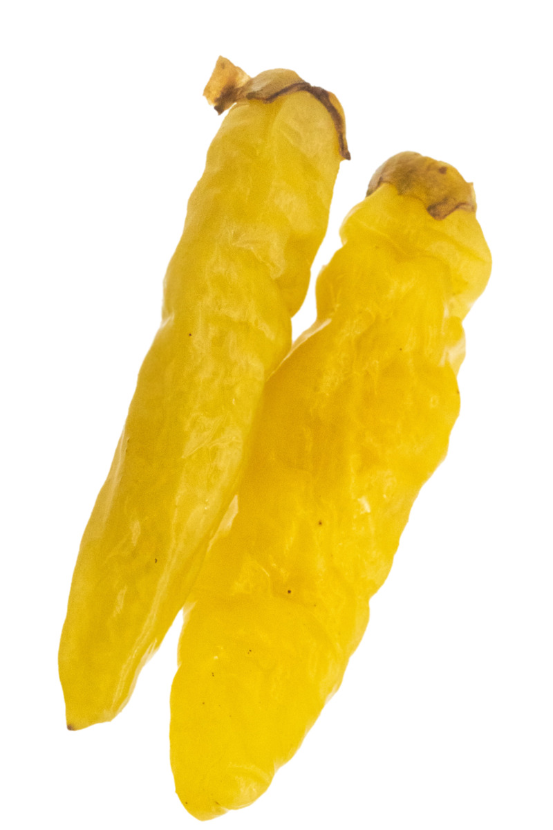 野山椒高清PNG透明漂浮元素设计素材免费下载