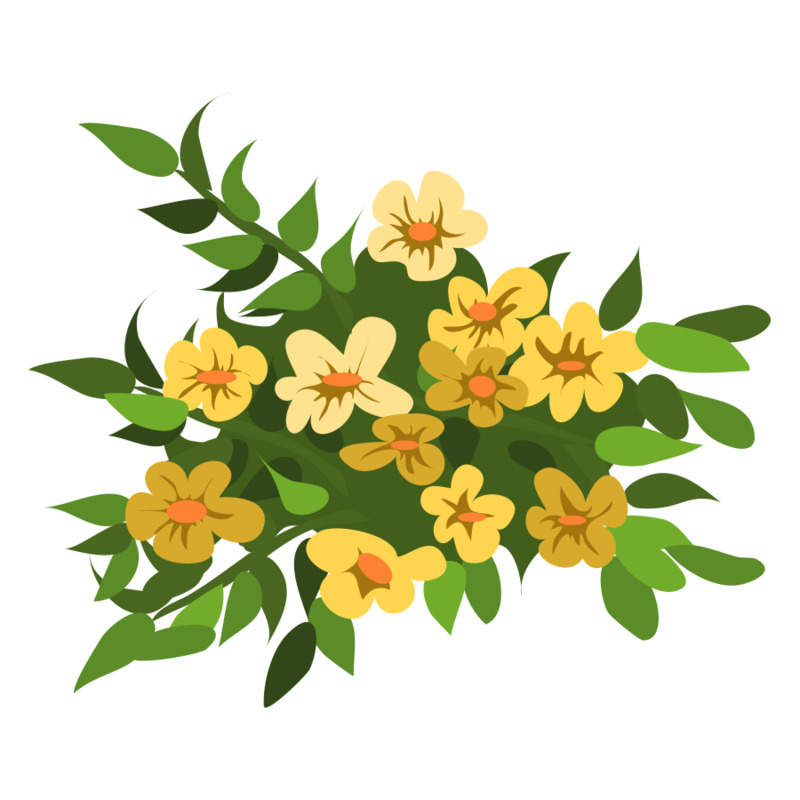一束花开高清PNG透明花瓣漂浮元素设计素材免费下载