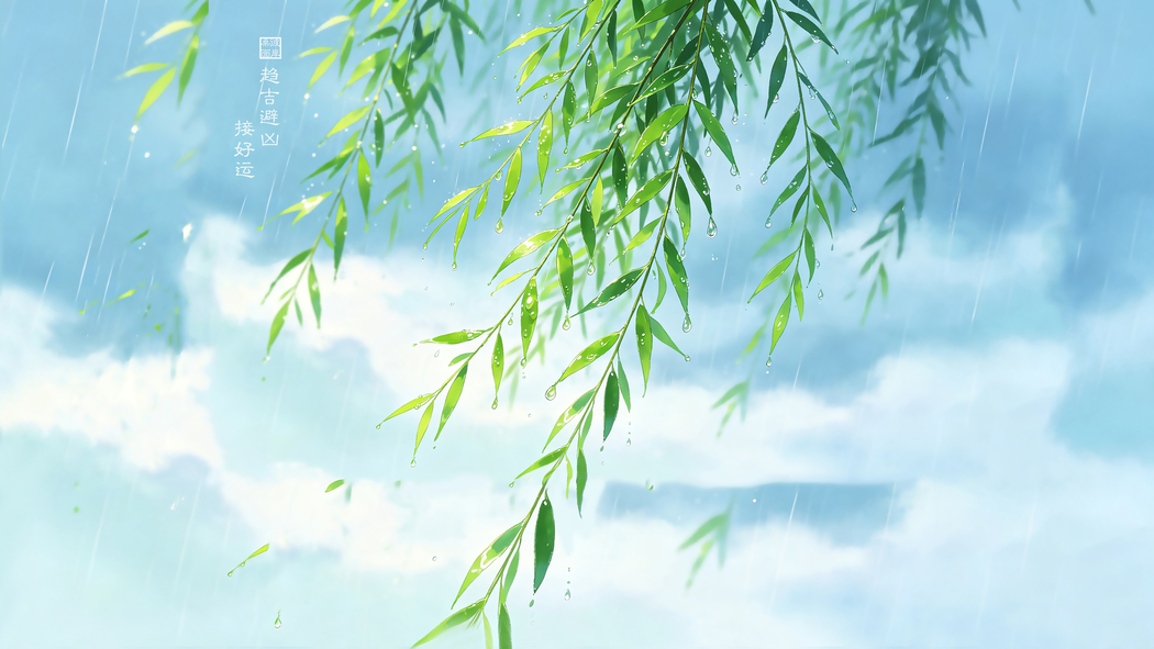 清新柳叶4K壁纸 趋吉避凶好运来 3840x2160免费下载 清新柳叶4K壁纸 趋吉避凶好运来 3840x2160免费下载