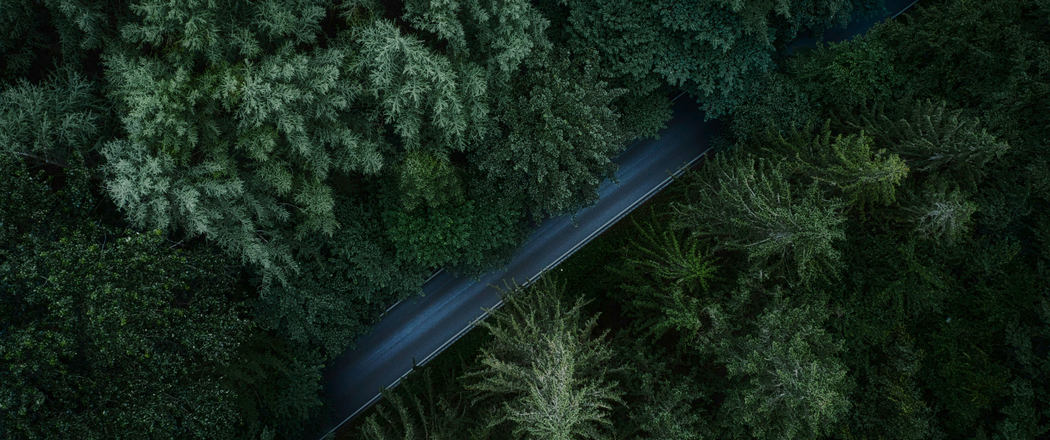 树木森林道路俯视图 3440x1440 4K高清壁纸免费下载