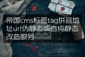 帝国cms标签tag拼音地址url伪静态或者纯静态改造服务
