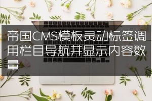 帝国CMS模板灵动标签调用栏目导航并显示内容数量