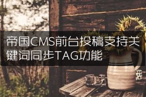 帝国CMS前台投稿支持关键词同步TAG功能
