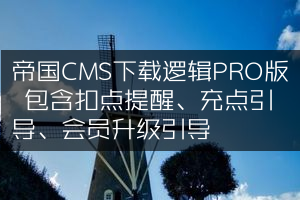 帝国CMS下载逻辑PRO版 包含扣点提醒、充点引导、会员升级引导