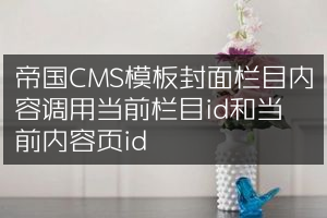 帝国CMS模板封面栏目内容调用当前栏目id和当前内容页id