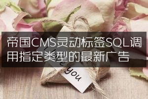 帝国CMS灵动标签SQL调用指定类型的最新广告