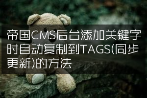 帝国CMS后台添加关键字时自动复制到TAGS(同步更新)的方法
