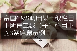 帝国CMS调用某一级栏目下所有二级（子）栏目下的3条信息示例