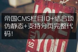 帝国CMS栏目ID+结合项伪静态+支持分页完整代码！