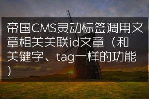 帝国CMS灵动标签调用文章相关关联id文章（和关键字、tag一样的功能）