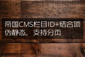 帝国CMS栏目ID+结合项伪静态，支持分页