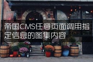 帝国CMS任意页面调用指定信息的图集内容