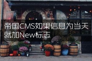 帝国CMS如果信息为当天就加New标志