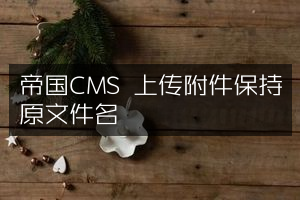 帝国CMS 上传附件保持原文件名