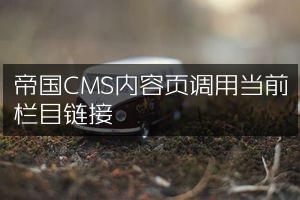 帝国CMS内容页调用当前栏目链接