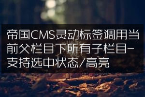 帝国CMS灵动标签调用当前父栏目下所有子栏目-支持选中状态/高亮