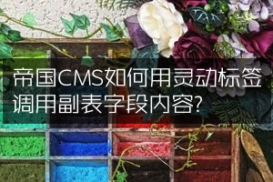 帝国CMS如何用灵动标签调用副表字段内容?