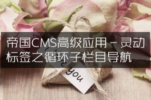 帝国CMS高级应用－灵动标签之循环子栏目导航