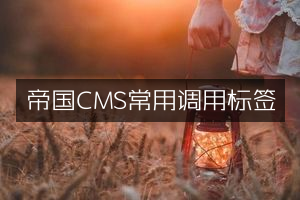 帝国CMS常用调用标签