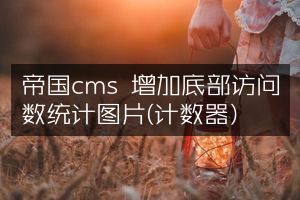 帝国cms 增加底部访问数统计图片(计数器)