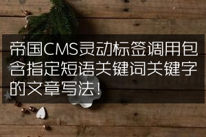 帝国CMS灵动标签调用包含指定短语关键词关键字的文章写法！