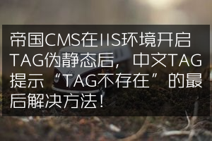 帝国CMS在IIS环境开启TAG伪静态后，中文TAG提示“TAG不存在”的最后解决方法！
