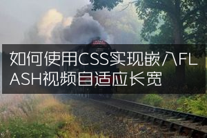 如何使用CSS实现嵌入FLASH视频自适应长宽