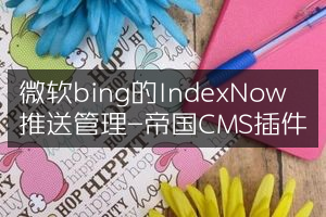 微软bing IndexNow的推送和管理-帝国CMS插件