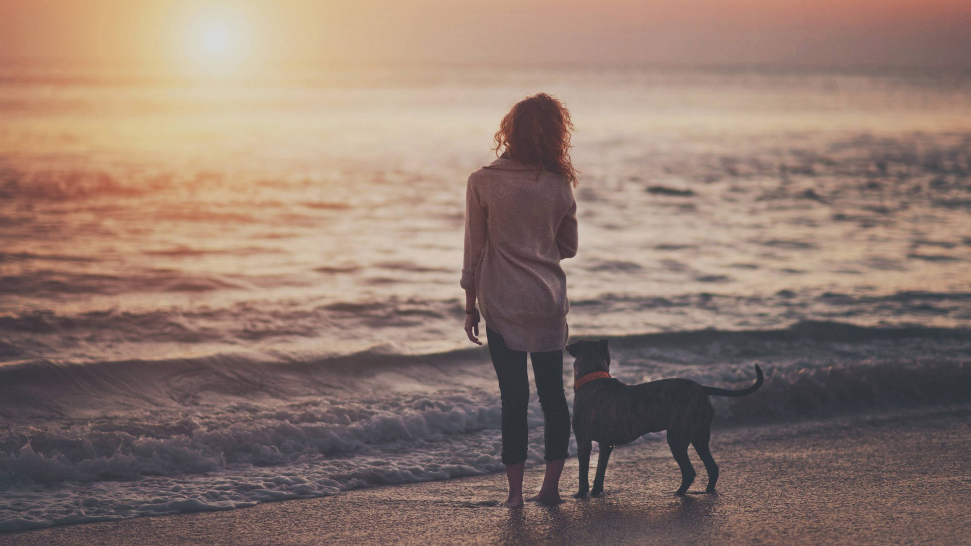 女孩与狗共赏海景，唯美夕阳海浪壁纸，免费电脑壁纸下载