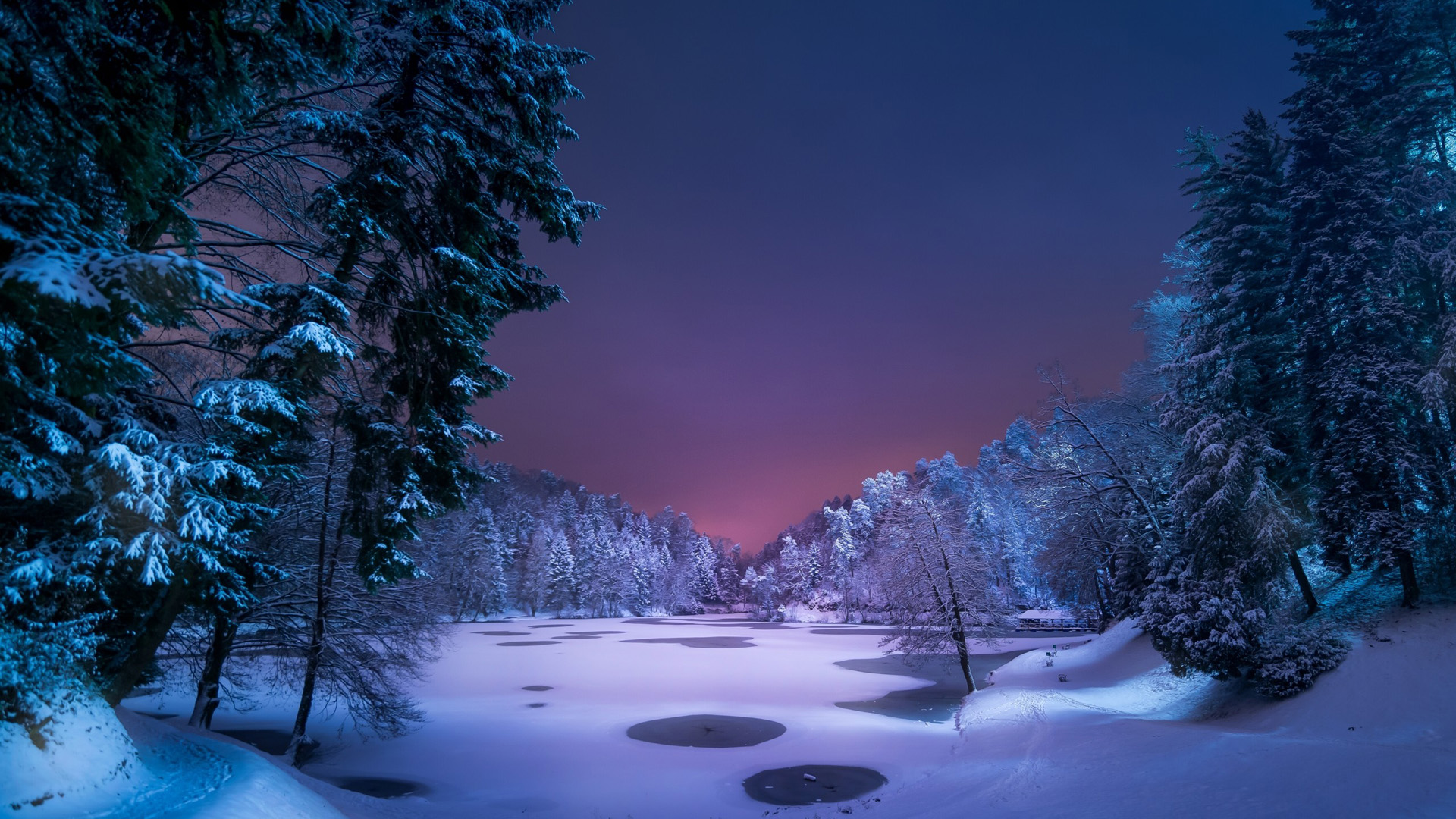 冬季雪景，湖畔树林自然风光，免费高清电脑壁纸下载