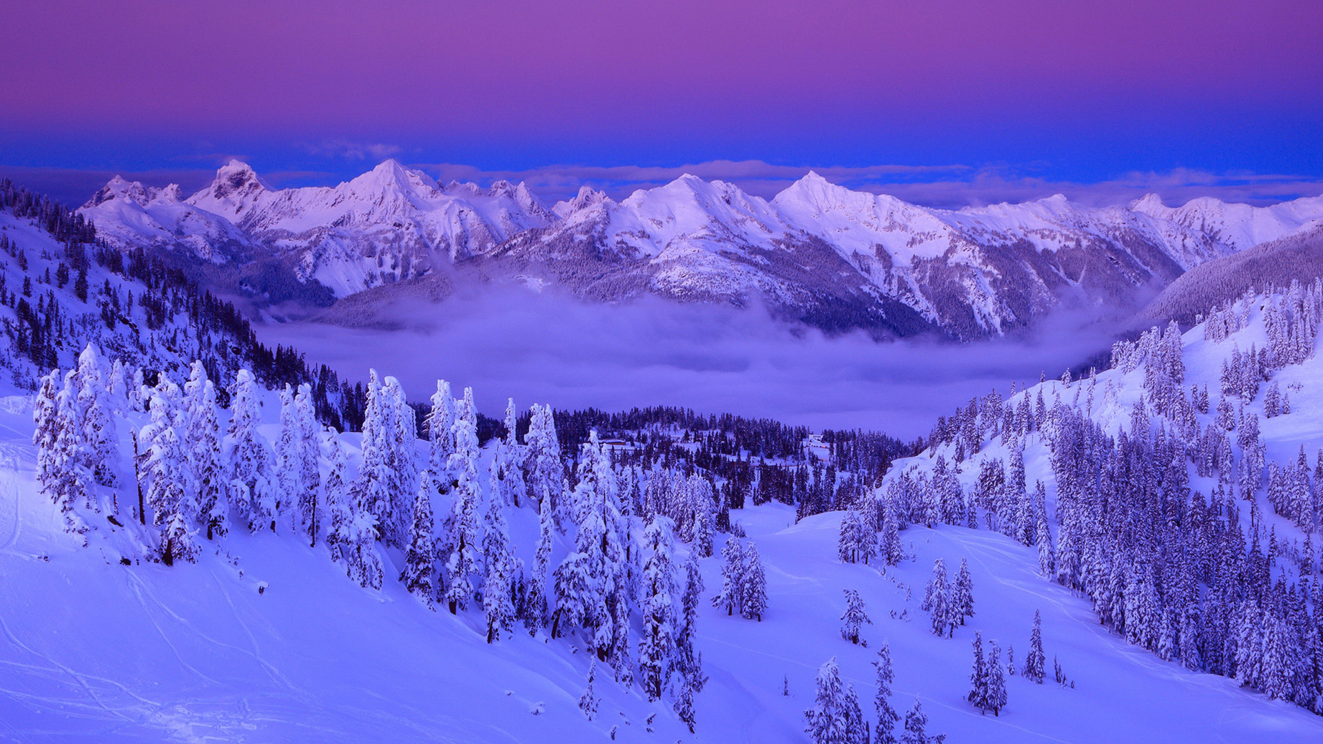 冬日紫云雪山林景，高清自然风景壁纸，免费下载电脑桌面背景