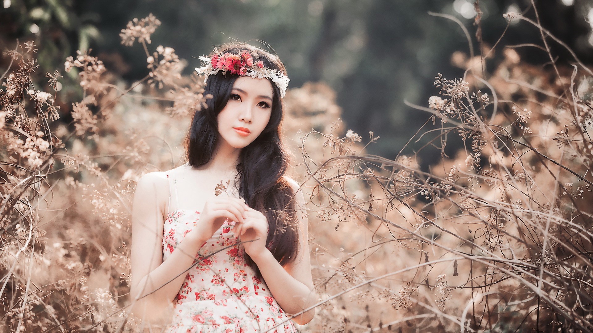 气质美女花间倩影，唯美林间花海壁纸，免费电脑桌面美图下载