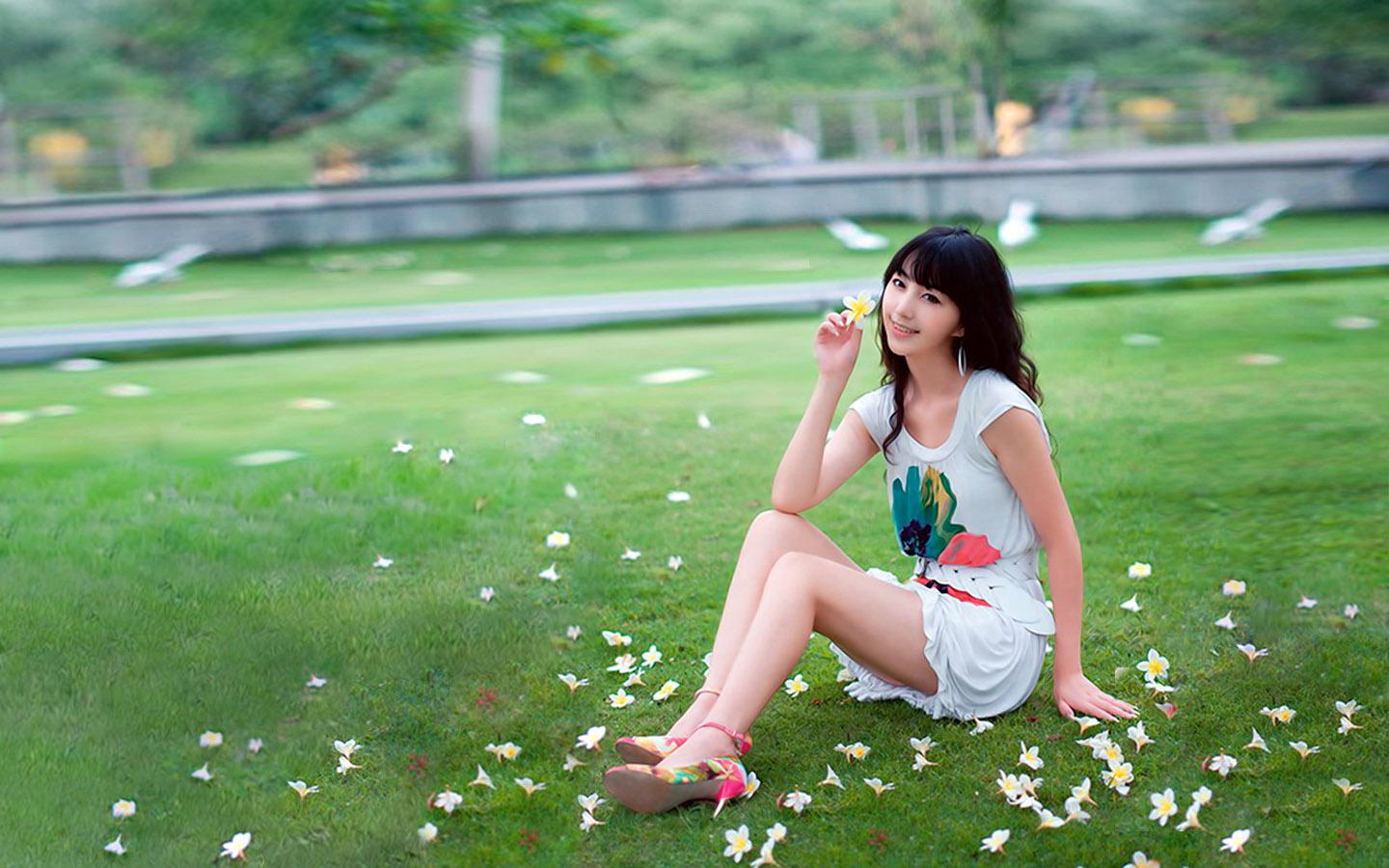 草地美女桌面壁纸