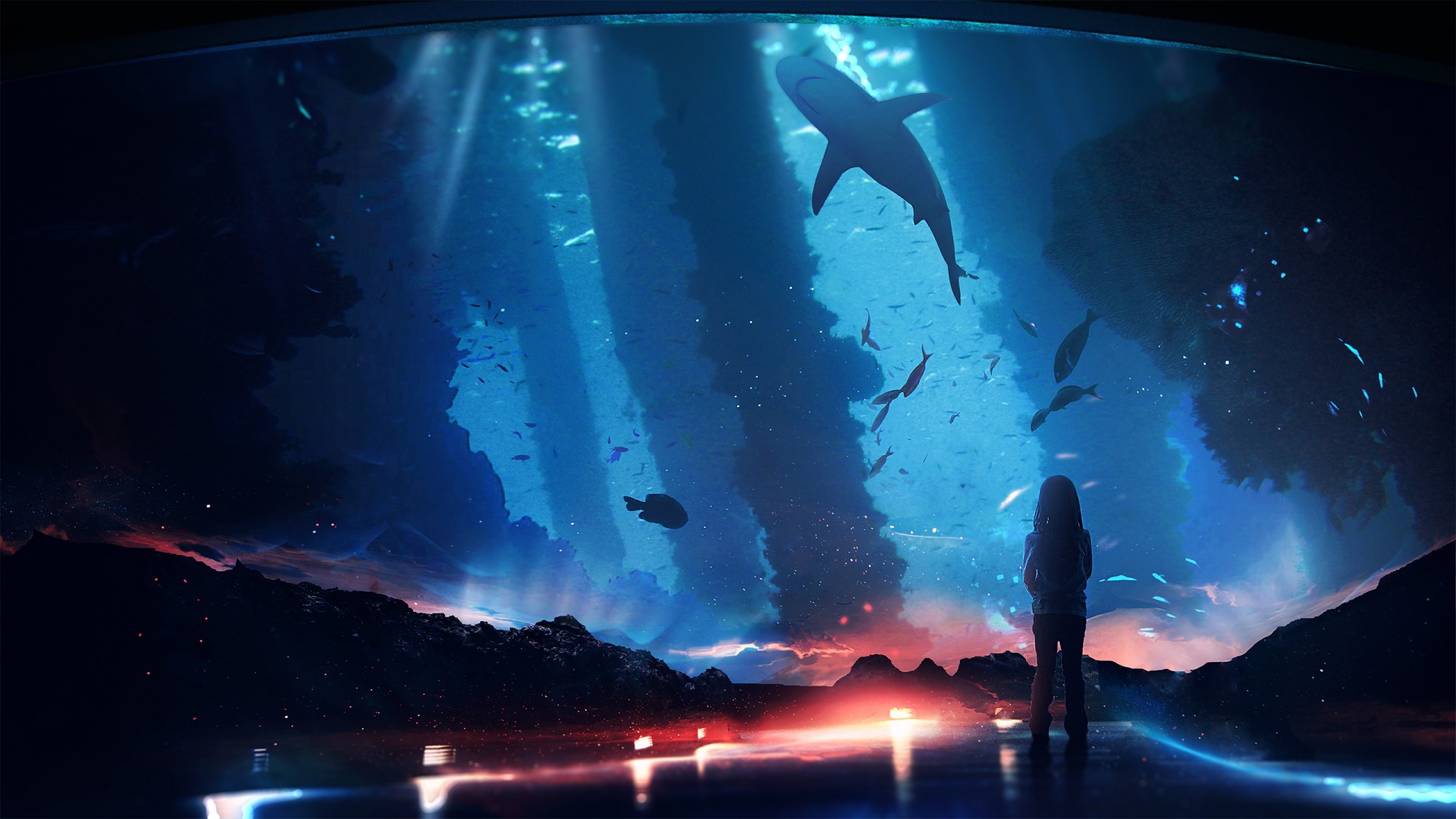 免费下载，女孩与鲨鱼的奇幻水族馆动漫电脑壁纸