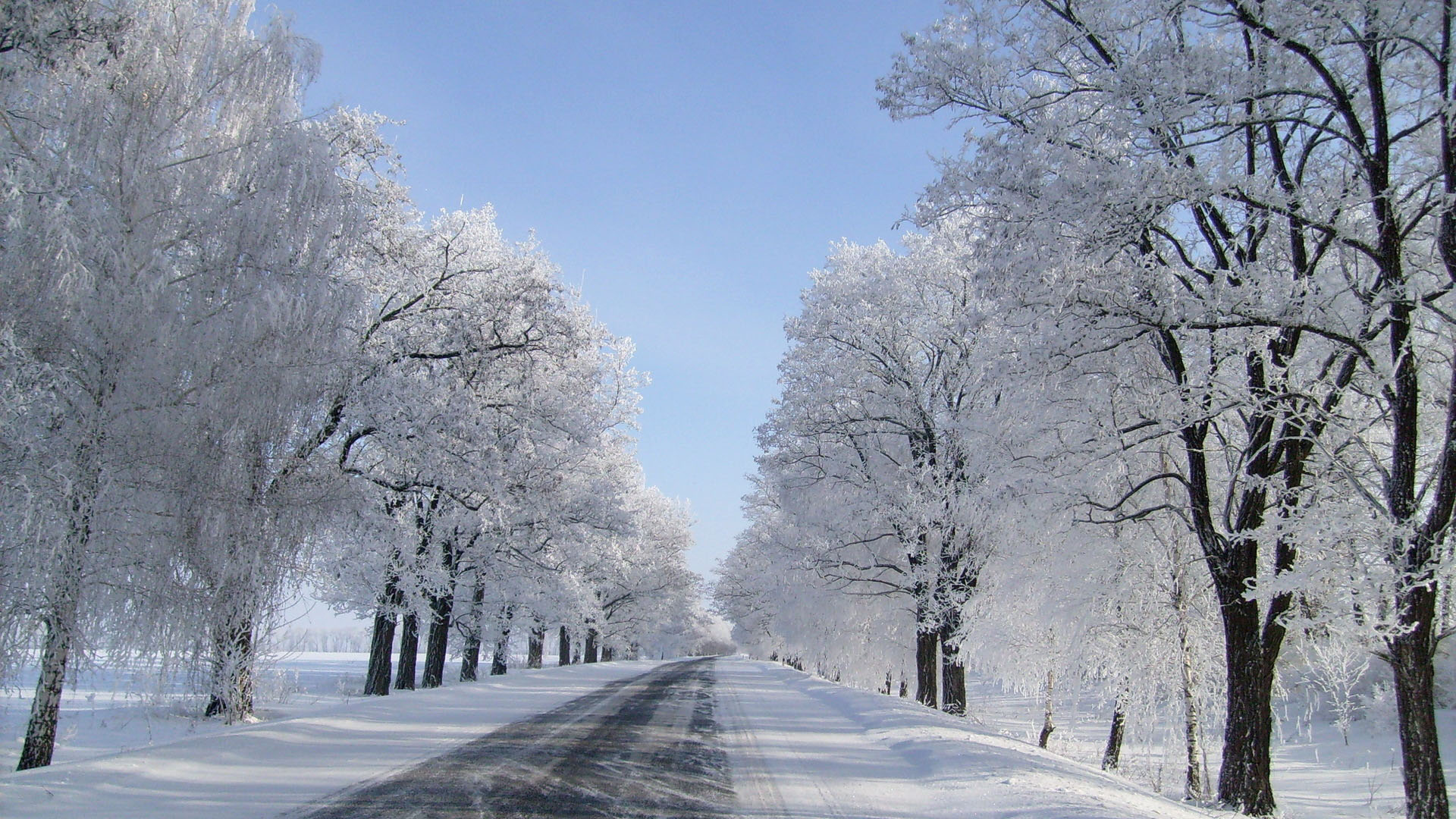 下雪公路美景，免费高清桌面壁纸，一键下载！