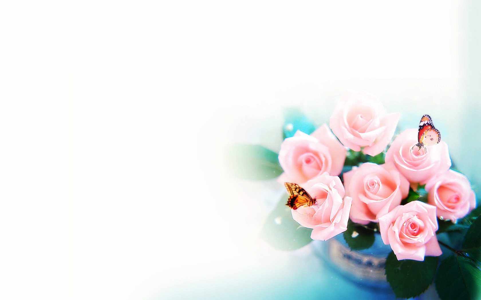 免费下载，清香花卉桌面壁纸，精美电脑背景任你选