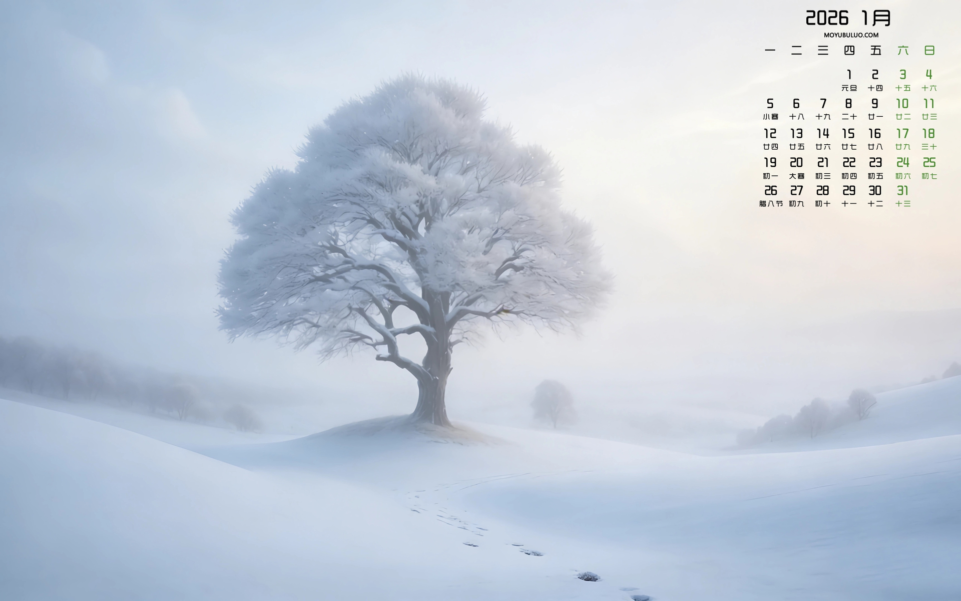 雪地树风景2026年1月日历电脑桌面免费壁纸下载