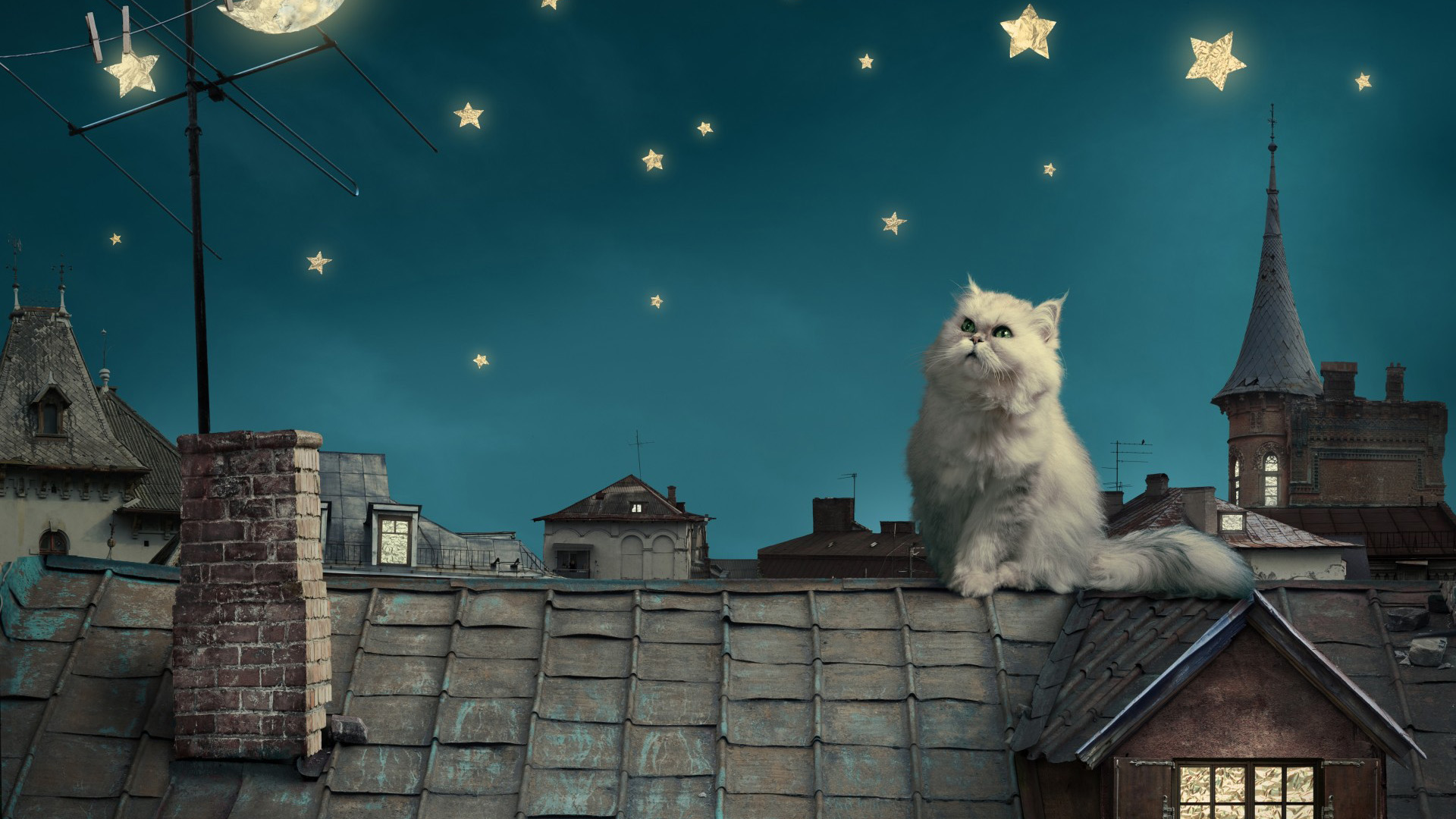 波斯白色的小猫,童话,幻想,屋顶,房屋,天空桌面壁纸