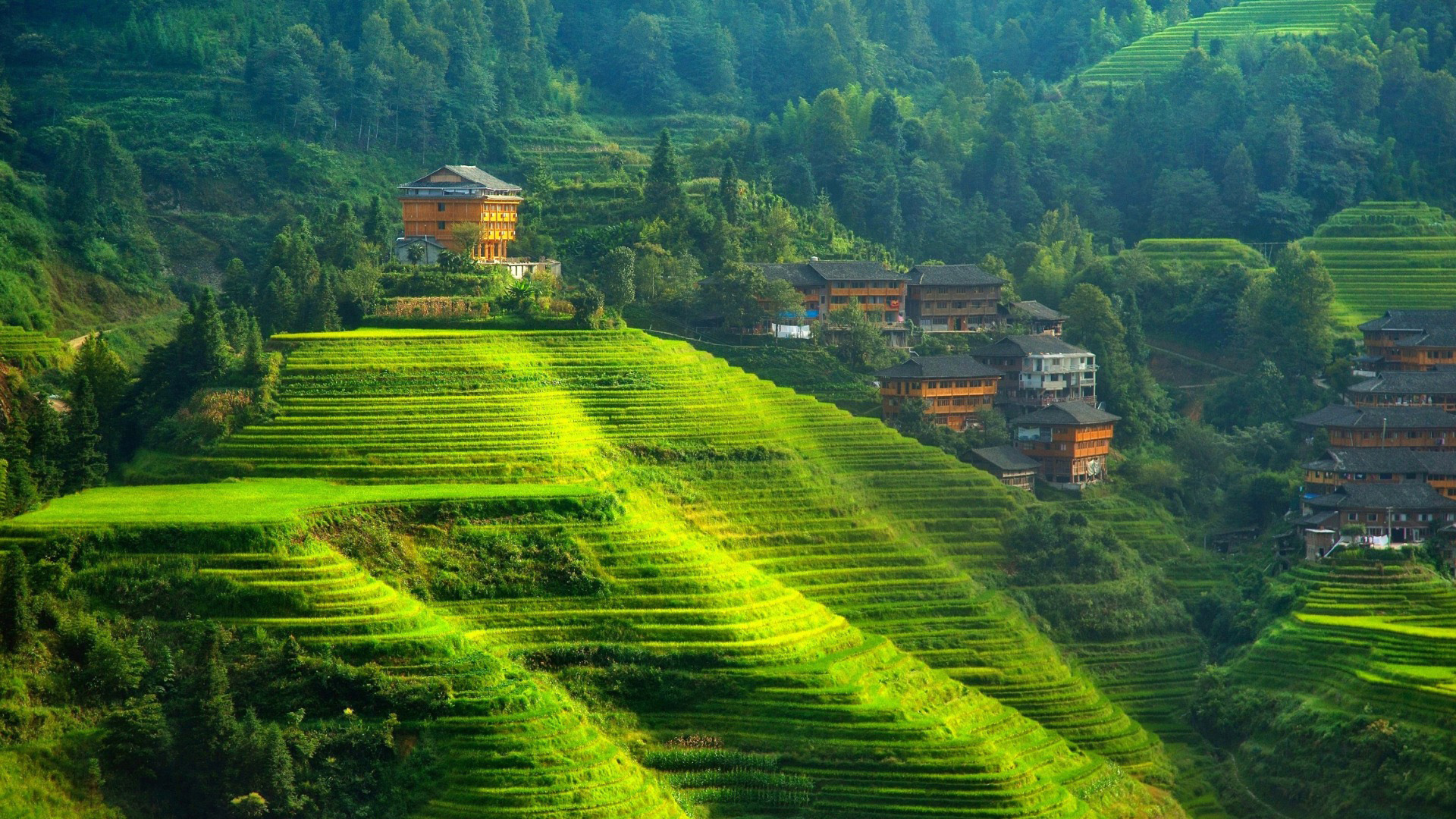 山里人家的绿意乡愁，田园风景电脑壁纸，免费下载尽享家乡美景
