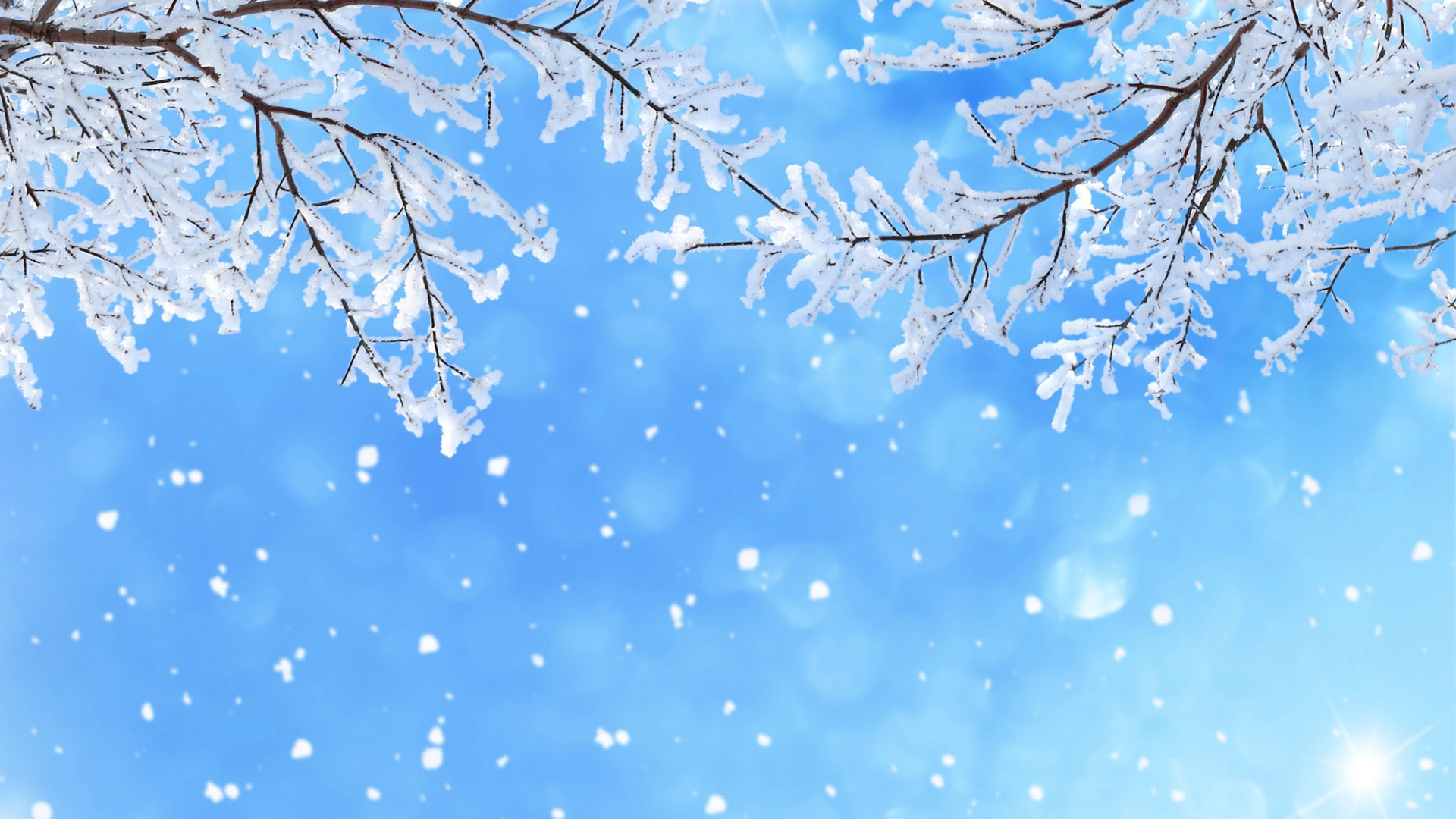 冬日雪景，树枝挂雪，雪花飘落，绝美天空风景壁纸免费下载