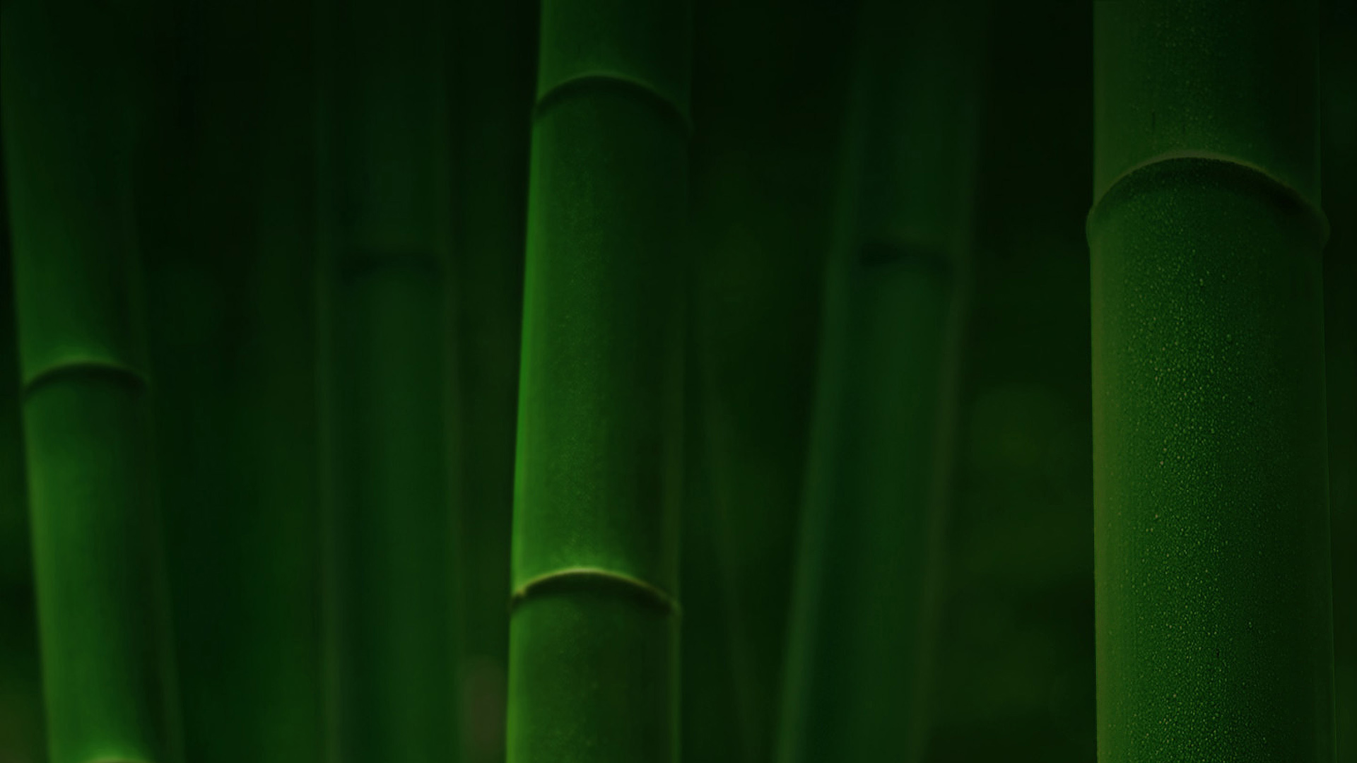 竹林翠影，护眼绿色竹子风景壁纸，免费下载电脑桌面背景