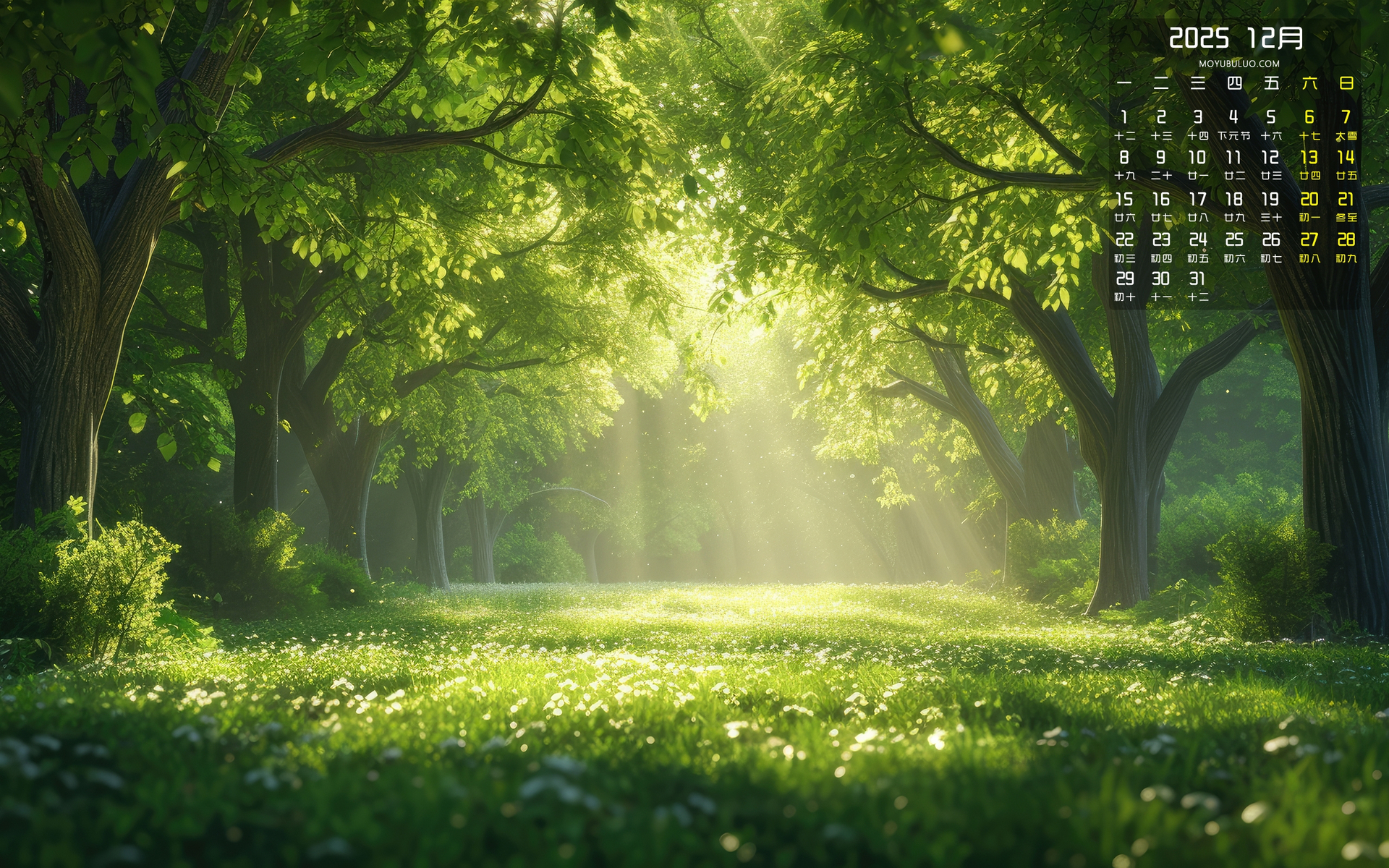 2025年12月森林阳光风景护眼日历桌面壁纸，免费电脑壁纸下载