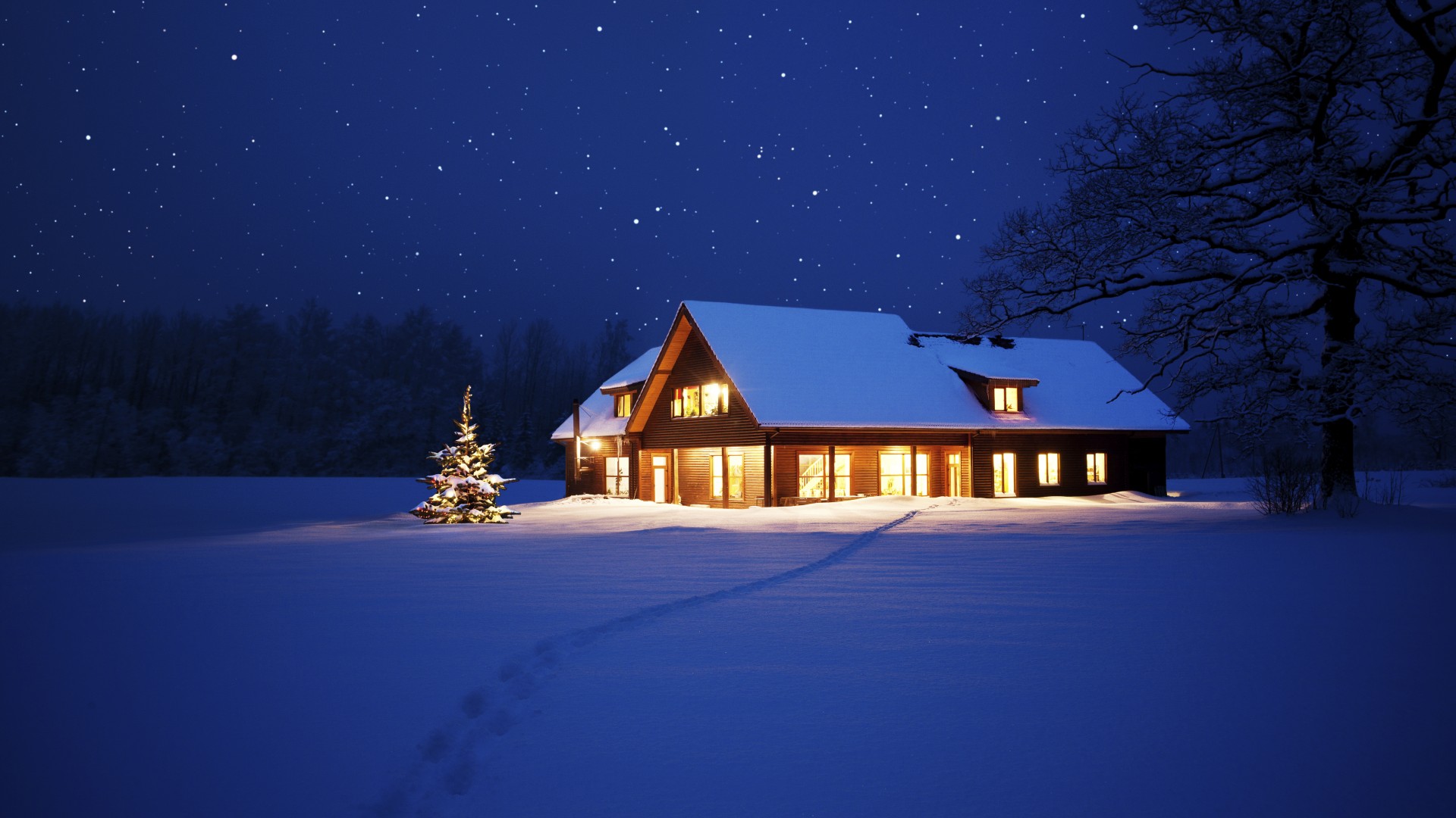 圣诞夜景，冬季雪夜，圣诞树与灯光璀璨，迎接新年，免费下载电脑壁纸