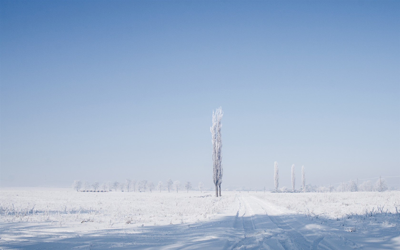2011绝美雪景壁纸，高清风景图片，免费下载装点你的电脑桌面