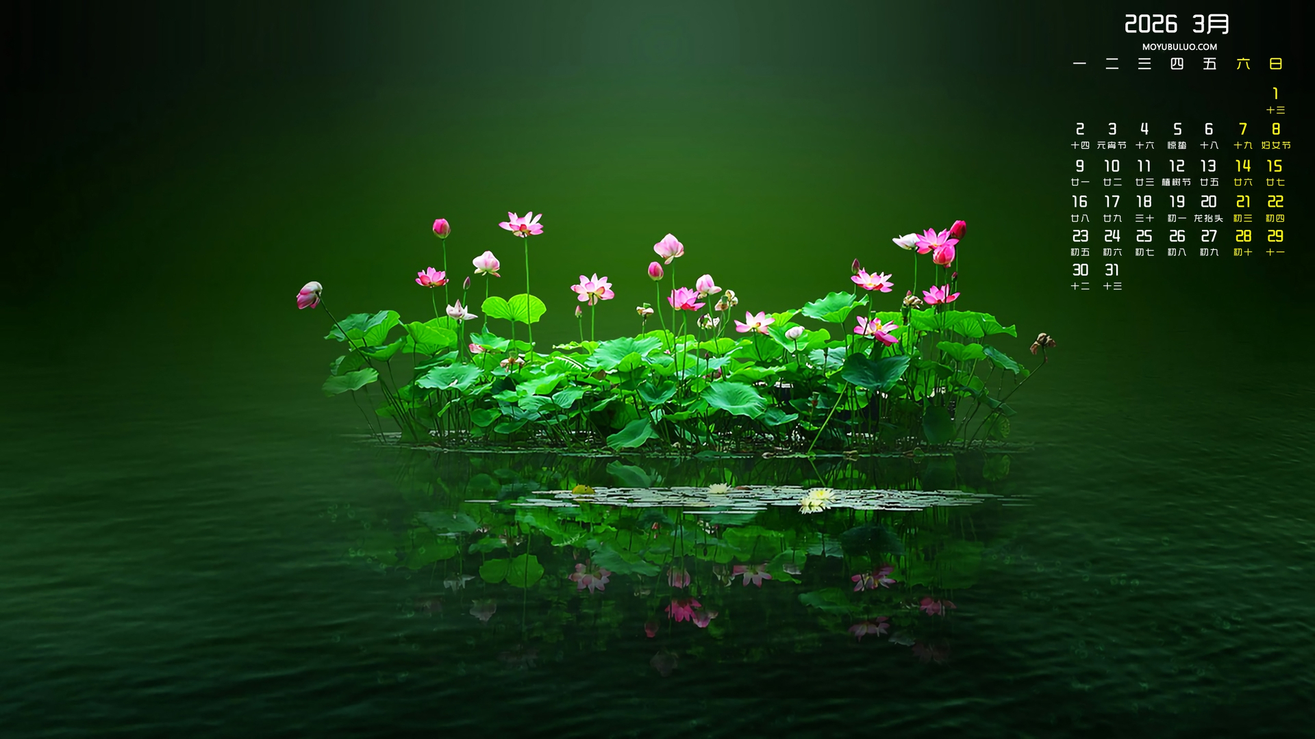 荷花2026年3月电脑桌面日历壁纸免费下载