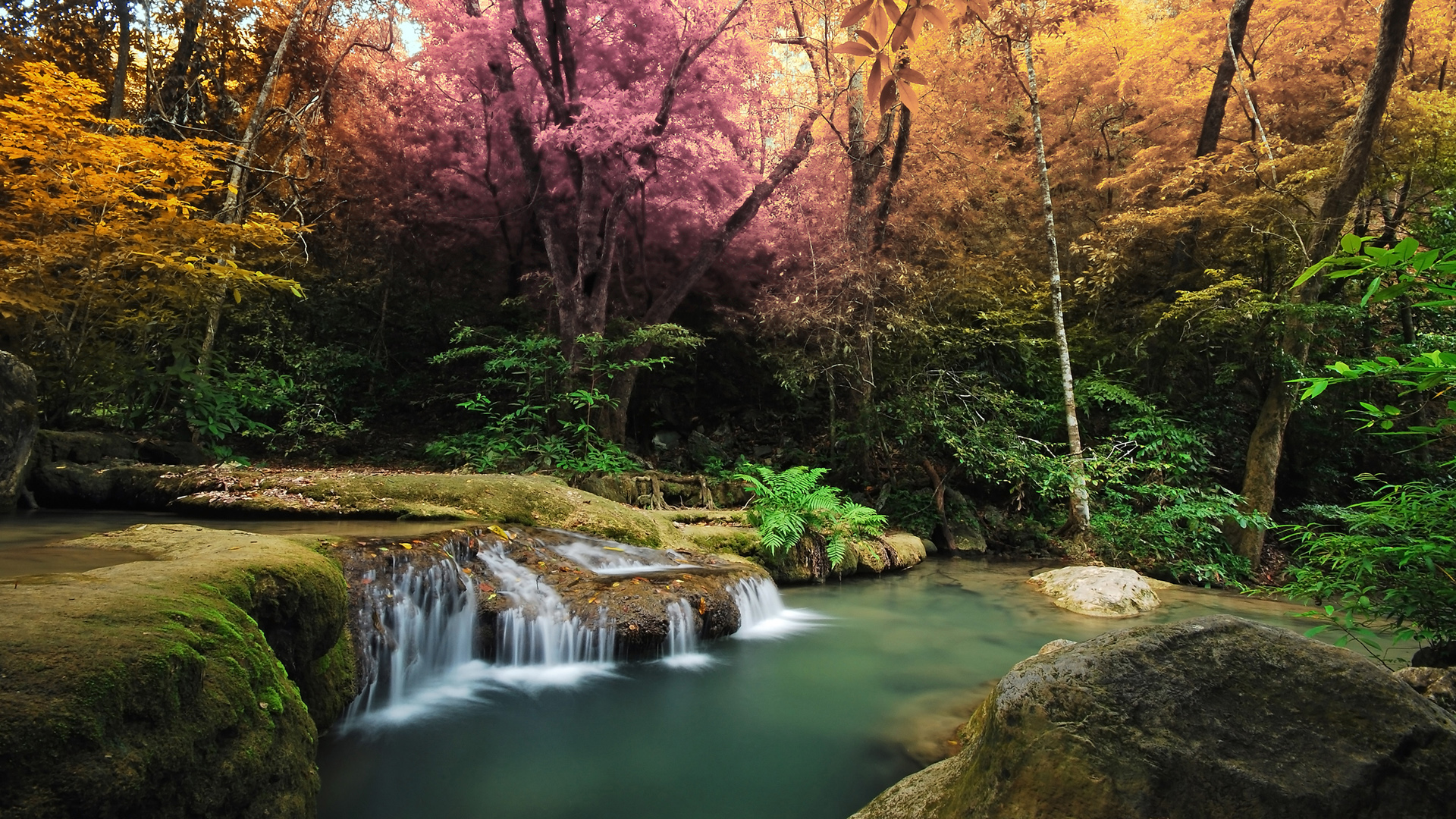 美丽森林瀑布风景桌面壁纸